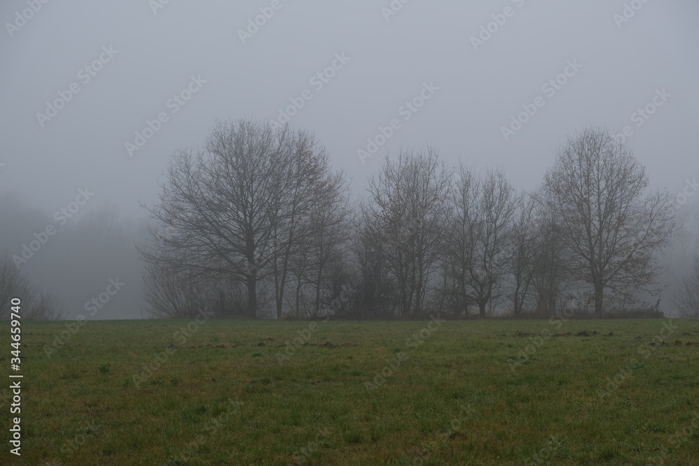 Landschaft Landschaft