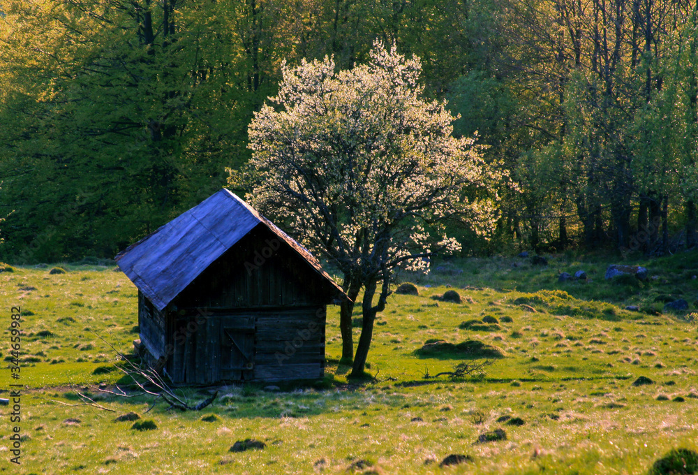 House in the Carpathian mountains, Transylvania House in the Carpathian mountains, Transylvania