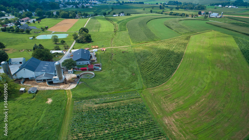 Aerial view of green farmlands and rolling crops growing on a beautiful sky on a sunny countryside