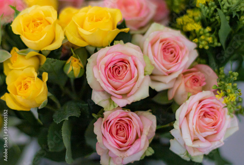 Rose flowers, Rose flowers in vas