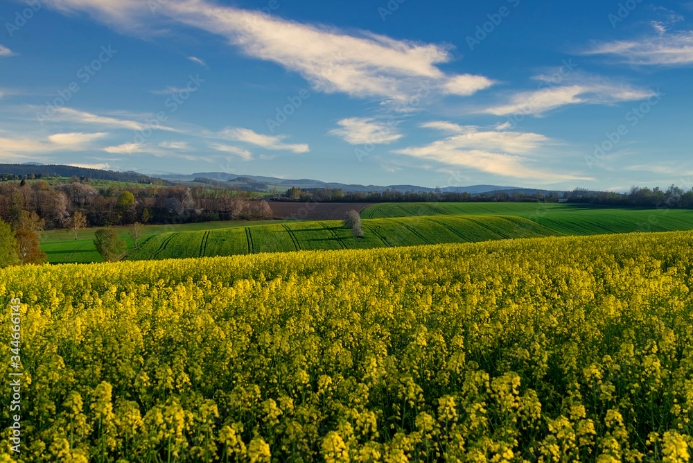 Frühlings Farben