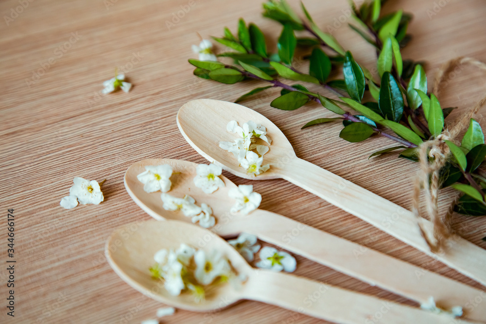 Fototapeta premium eco-friendly, disposable tableware, without plastic, spoons