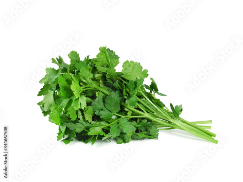Fresh parsley bunch isolated on white background. Green spicy herbs.   