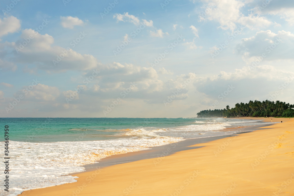 Indian ocean sand long beach landscape view with palms, Sri Lanka island