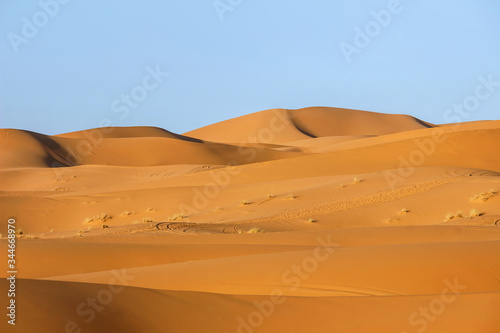 landscape of golden sand dune in sahara desert  