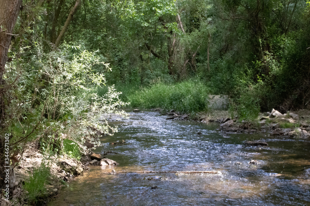 Creek in Spain Creek in Spain