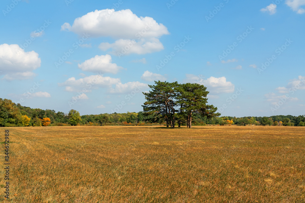 Autumn steppe landscape with trees, Askania-Nova biosphere reserve (sanctuary), Ukraine. Autumn steppe landscape with trees, Askania-Nova biosphere reserve (sanctuary), Ukraine.
