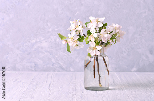 Spring branches of a blossoming apple tree in a glass jar on wooden table © Dmytro