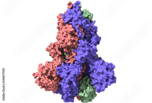 Structure of the SARS-CoV-2 spike glycoprotein, surface model, white background, 3D illustration isolated