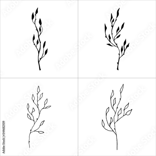 Leaves branch vector black isolated objects. Silhouette floral elements. Organic Hand drawn simple leaves branch. 