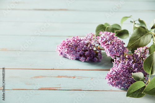 Three inflorescences of purple lilac blossom