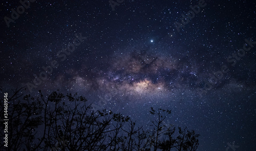 Remarkable moment of milky way galaxy and thousands of stars in the night sky above bushes or trees shot in Sumbawa