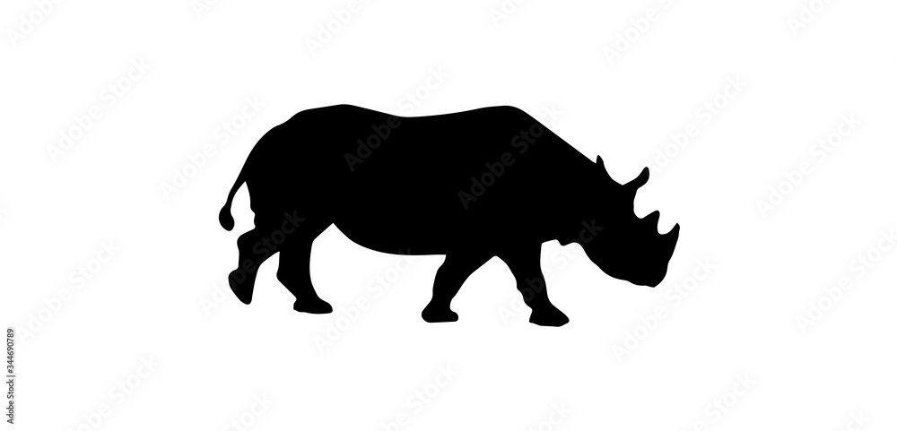 Rhino Silhouette On White Background