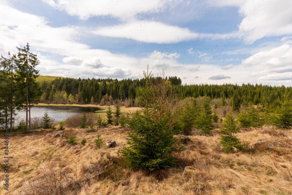 Moorlandschaft am Rubner Teich im Tannermoor Moorlandschaft am Rubner Teich im Tannermoor
