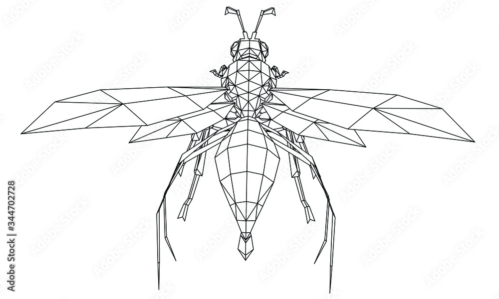 Vector illustration of a wasp. Abstract linear insect. Vector illustration of a wasp. Abstract linear insect.