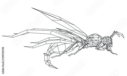 Vector illustration of a wasp. Abstract linear insect.