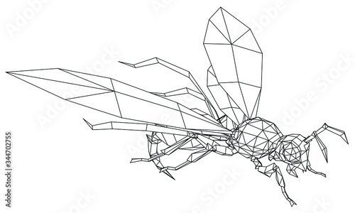 Vector illustration of a wasp. Abstract linear insect.
