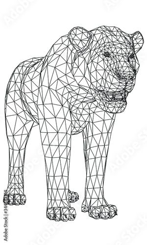 Fototapeta Naklejka Na Ścianę i Meble -  Young lion lines illustration. Abstract vector lion on the white background