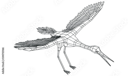 Stork bird polygonal lines illustration. Abstract vector bird on the white background