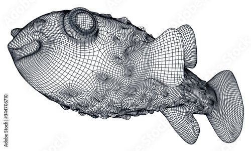 Puffer fish polygonal lines illustration. Abstract vector fish on the white background
