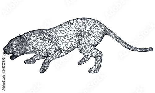 Attack tiger lines illustration. Abstract vector tiger on the white background