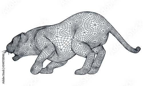 Attack tiger lines illustration. Abstract vector tiger on the white background