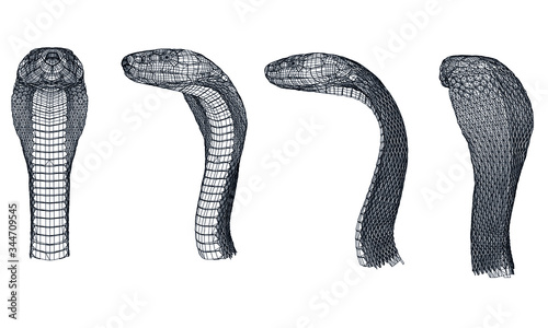 Snake polygonal lines illustration. Abstract vector snake on the white background