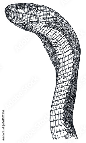 Snake polygonal lines illustration. Abstract vector snake on the white background