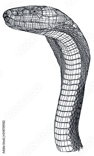 Snake polygonal lines illustration. Abstract vector snake on the white background