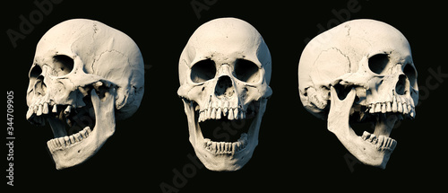 Sets Human Skull turned from different sides on rich colors. White isolated. The concept of death, horror. Symbol of creepy halloween. 3d rendering illustration.