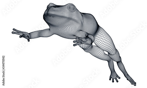 Jumping frog polygonal lines illustration. Abstract vector frog on the white background
