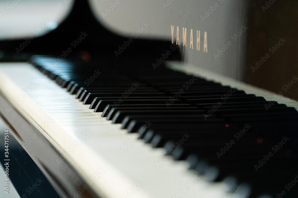 Naklejka premium Grand Piano - Keyboard