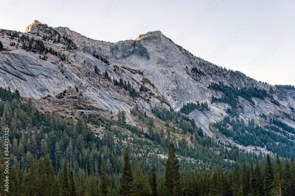Landscape in Yosemite National Park in California, USA. Landscape in Yosemite National Park in California, USA.