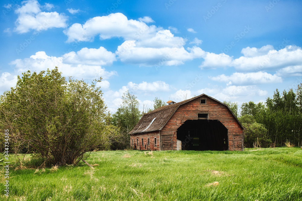 A crumbling large barn with fading red paint used as a storage shed for farm equipment in tall grass surrounded by trees in a summer countryside landscape A crumbling large barn with fading red paint used as a storage shed for farm equipment in tall grass surrounded by trees in a summer countryside landscape