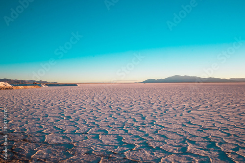 winter landscape in the desert