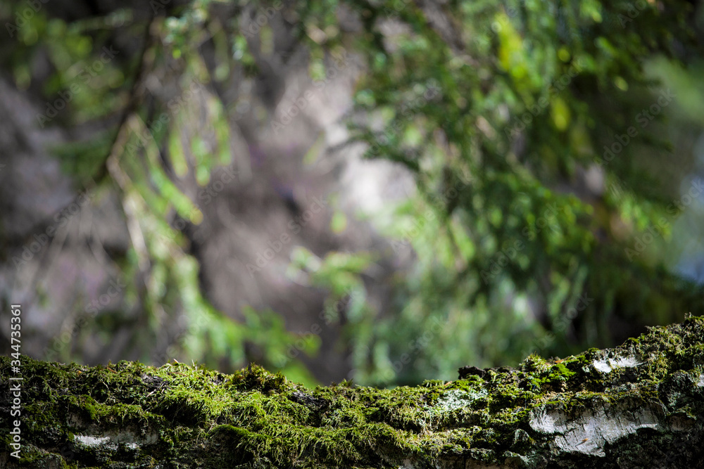 Mossy forest background. moss covered rock at blured mountain woods green landscape. Nature ecology wallpaper concept Mossy forest background. moss covered rock at blured mountain woods green landscape. Nature ecology wallpaper concept