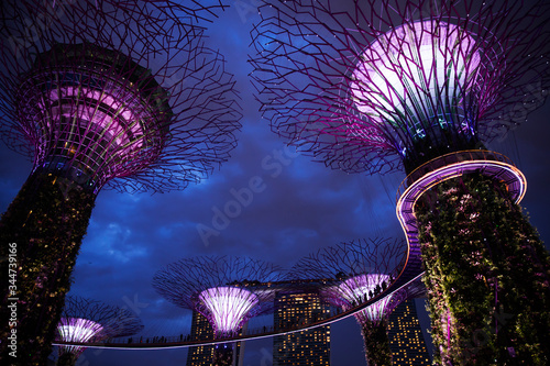 The illuminated Supertree Grove at Gardens by the Bay in Singapore