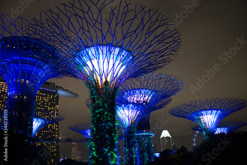 The Supertree Grove at Gardens by the Bay at dusk