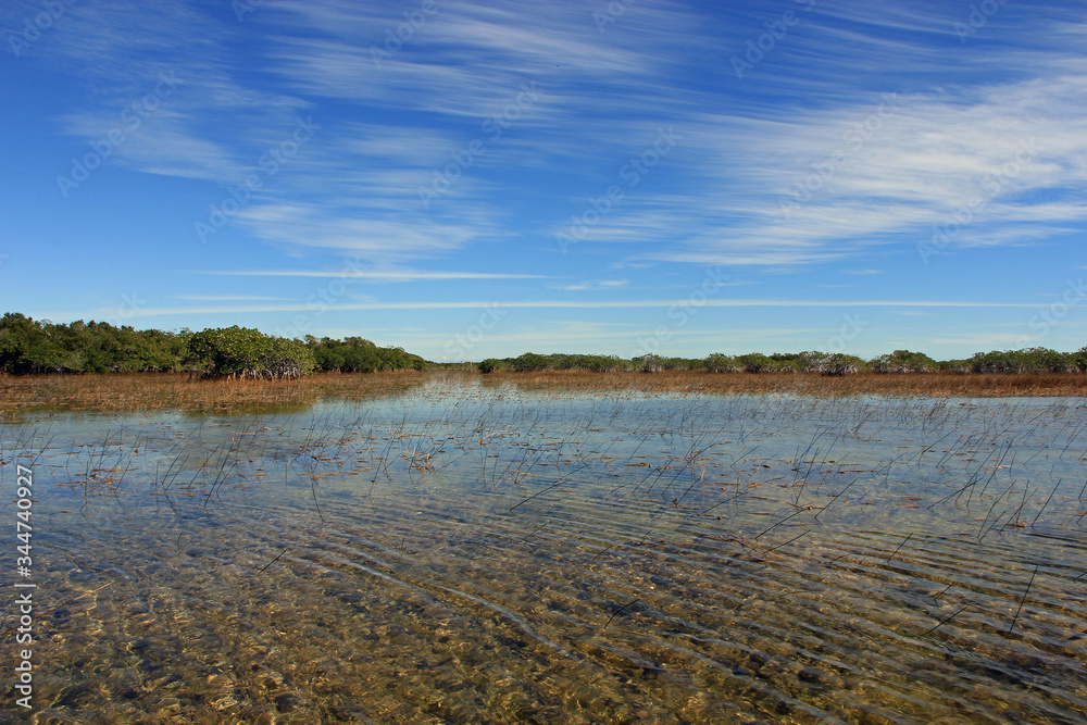Feathery high altitude cloudscape over Nine Mile Pond in Everglades National Park, Florida on sunny winter afternoon.