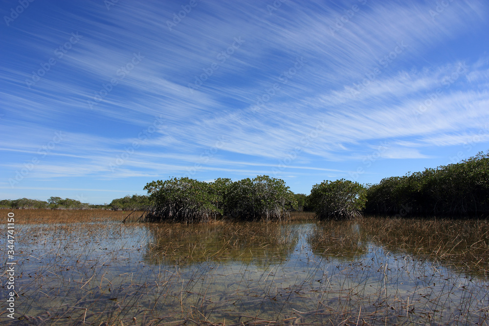 Feathery high altitude cloudscape over Nine Mile Pond in Everglades National Park, Florida on sunny winter afternoon. Feathery high altitude cloudscape over Nine Mile Pond in Everglades National Park, Florida on sunny winter afternoon.