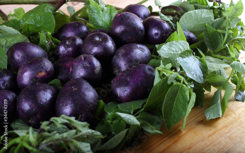 Violet potatoes