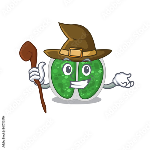Chroococcales bacteria sneaky and tricky witch cartoon character