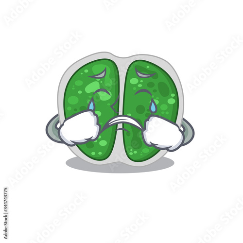 Cartoon character design of chroococcales bacteria with a crying face
