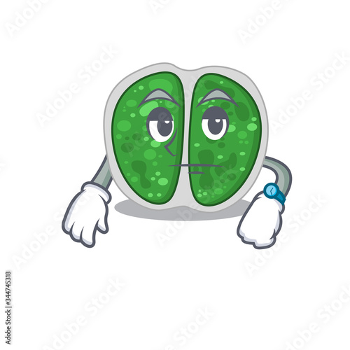 Mascot design of chroococcales bacteria showing waiting gesture