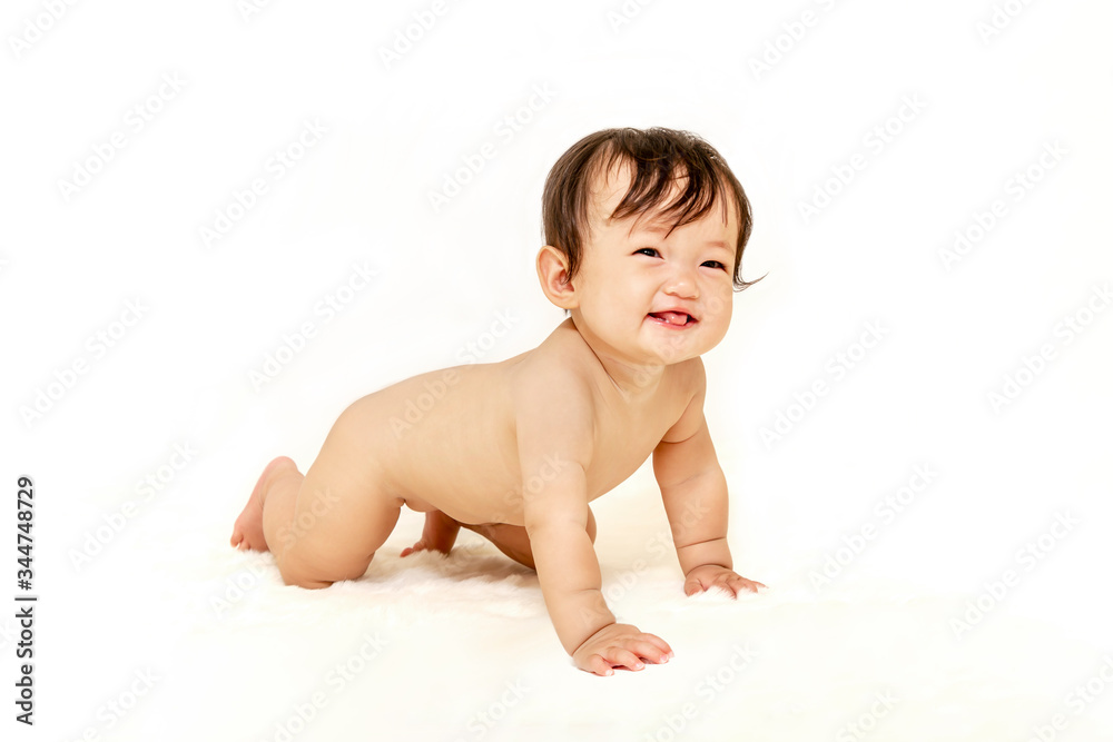 白背景を前に裸でハイハイしながら見つめる女の子の赤ちゃん 白背景を前に裸でハイハイしながら見つめる女の子の赤ちゃん