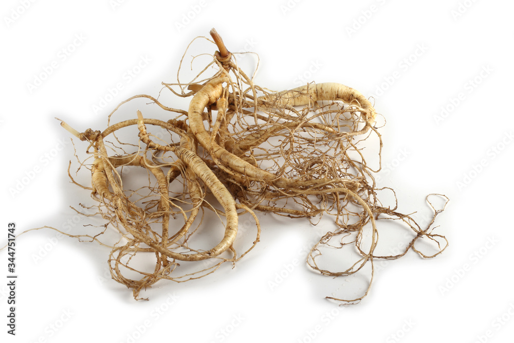 Ginseng isolated on white background Ginseng isolated on white background