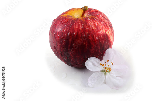 Apple and flower isolated on white background