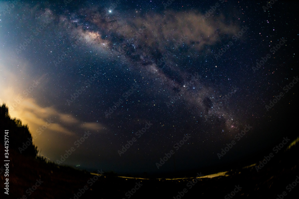 Fototapeta premium Black silhouette of wood and the Milky Way in the background