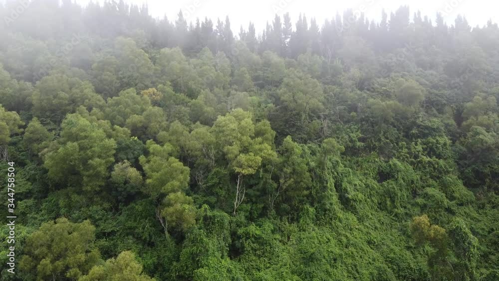 Asia from drone Asia from drone