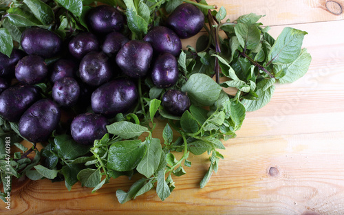 Violet potatoes